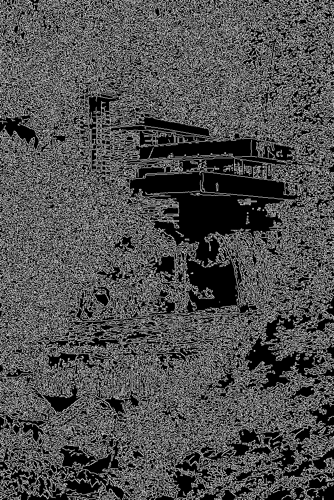 Fallingwater Canny edge map